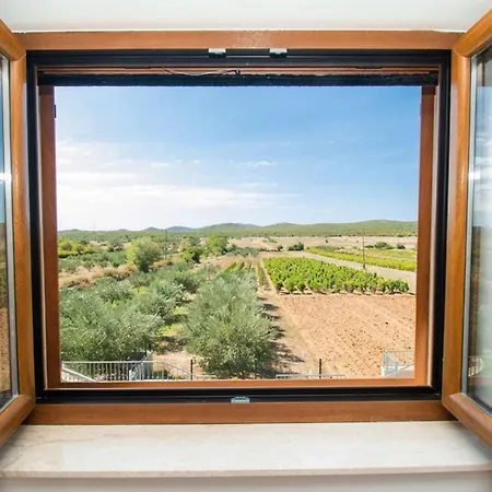 Meadow With Swimming Pool * Budak